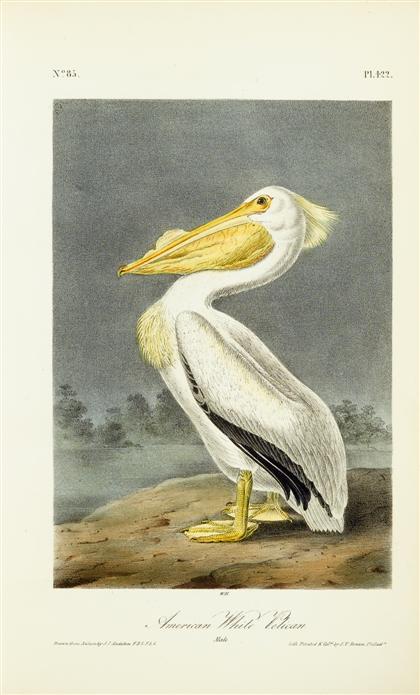 1 vol.  Audubon, John James. The