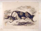 1 vol.  (Landseer, Edwin Henry