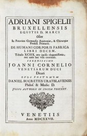 1 vol.  Spigelius, Adrianus. D