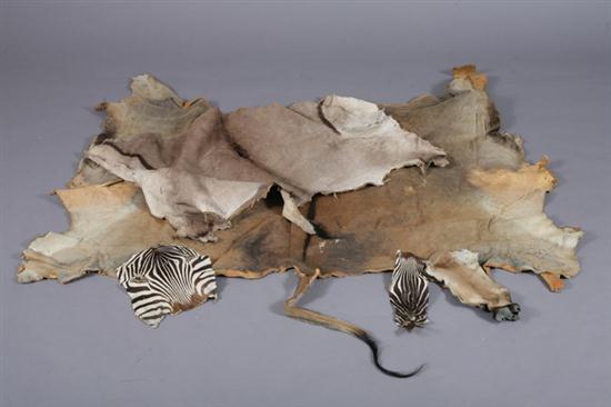 10 LARGE SKINS AND SMALLER PIECES