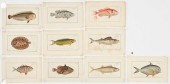 10 MARCUS ELIESER BLOCH FISH E