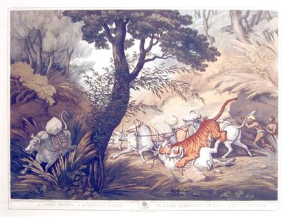 10 pieces.  Hand-Colored Aquatint