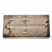 100 TROY OUNCES .999 SILVER EN
