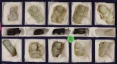 10pc Chinese Jade Children & F