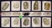 10pc Chinese Jade Children & F