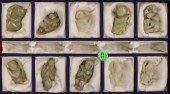 10pc Chinese Jade Children & F