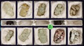 10pc Chinese Jade Children & S