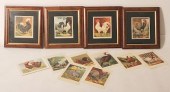 11 CASSELL'S POULTRY CHROMOLIT