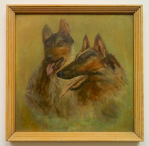 11 PORTRAITS OF DOGS11 Portraits of