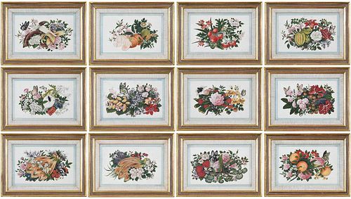 12 FRAMED ASIAN PITH