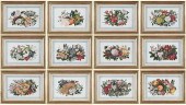 12 FRAMED ASIAN PITH PAINTINGS
