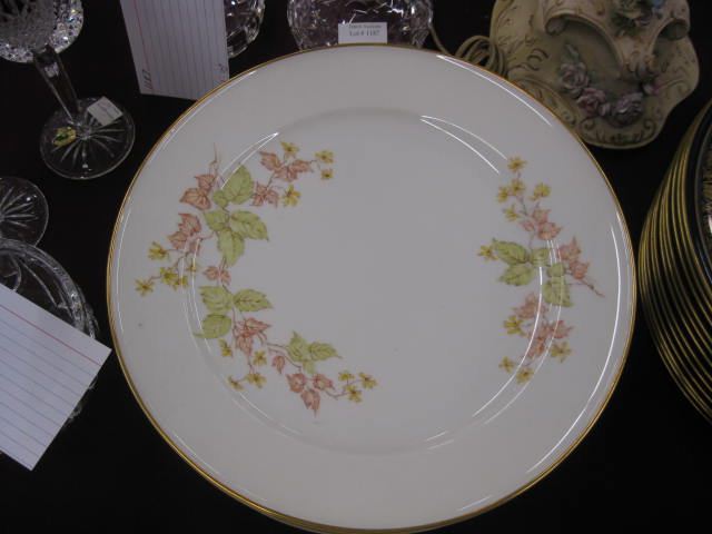 12 Hutschenreuther Porcelain Plates