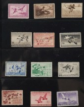 (12) MIGRATORY BIRD HUNTING ST