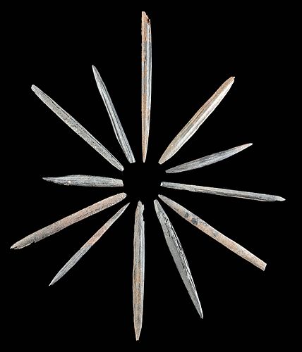 12 NATIVE AMERICAN DEER BONE