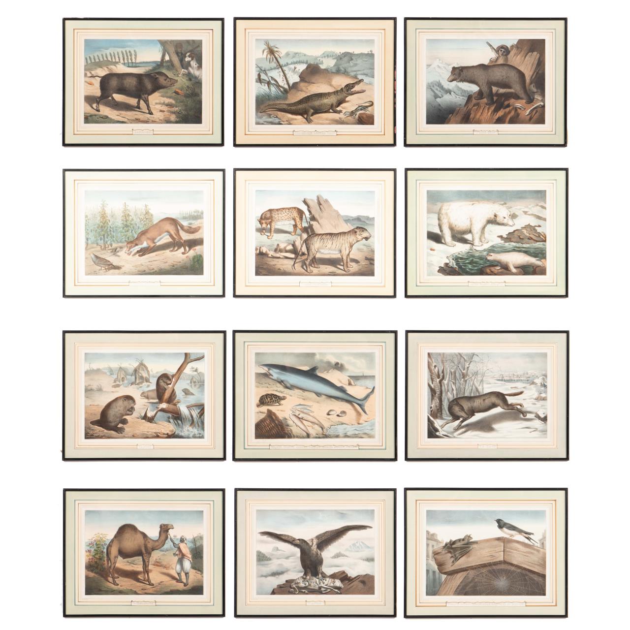 12 PCS, 19TH C. FRENCH ANIMAL