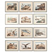 12 PCS, 19TH C. FRENCH ANIMAL