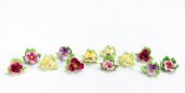 12 PCS ROYAL ADDERLEY FLORAL P
