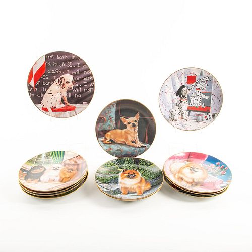 12 PORCELAIN LIMITED EDITION