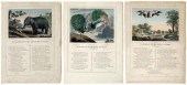 12 prints, La Fontaine&#39;s F