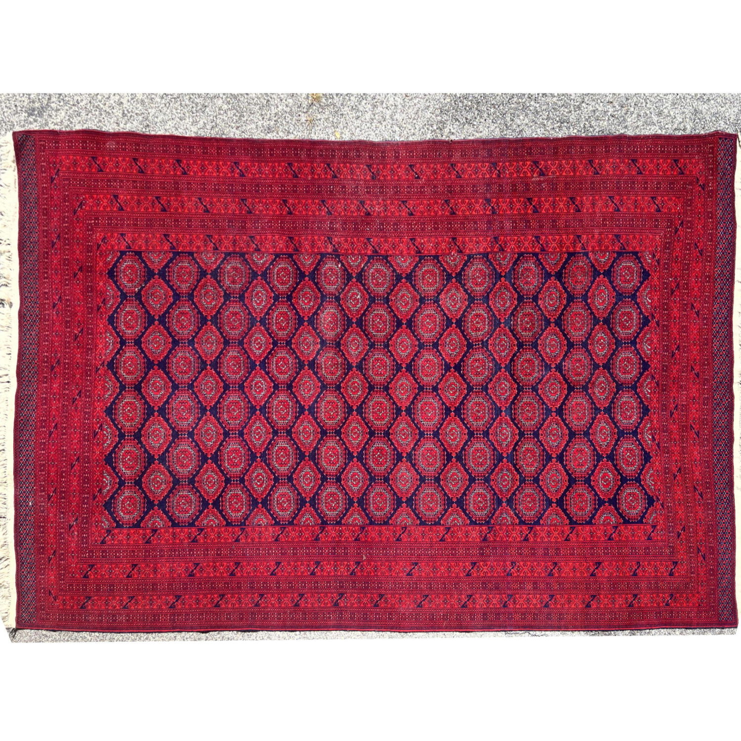 12'6x8'1 red and blue Bokhara