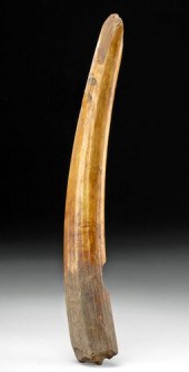 12TH C. ALASKAN THULE FOSSILIZ