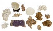 (13) MINERAL, SEASHELL & CORAL