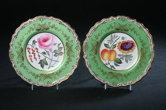 13 SPODE COPELANDS PORCELAIN PLATES