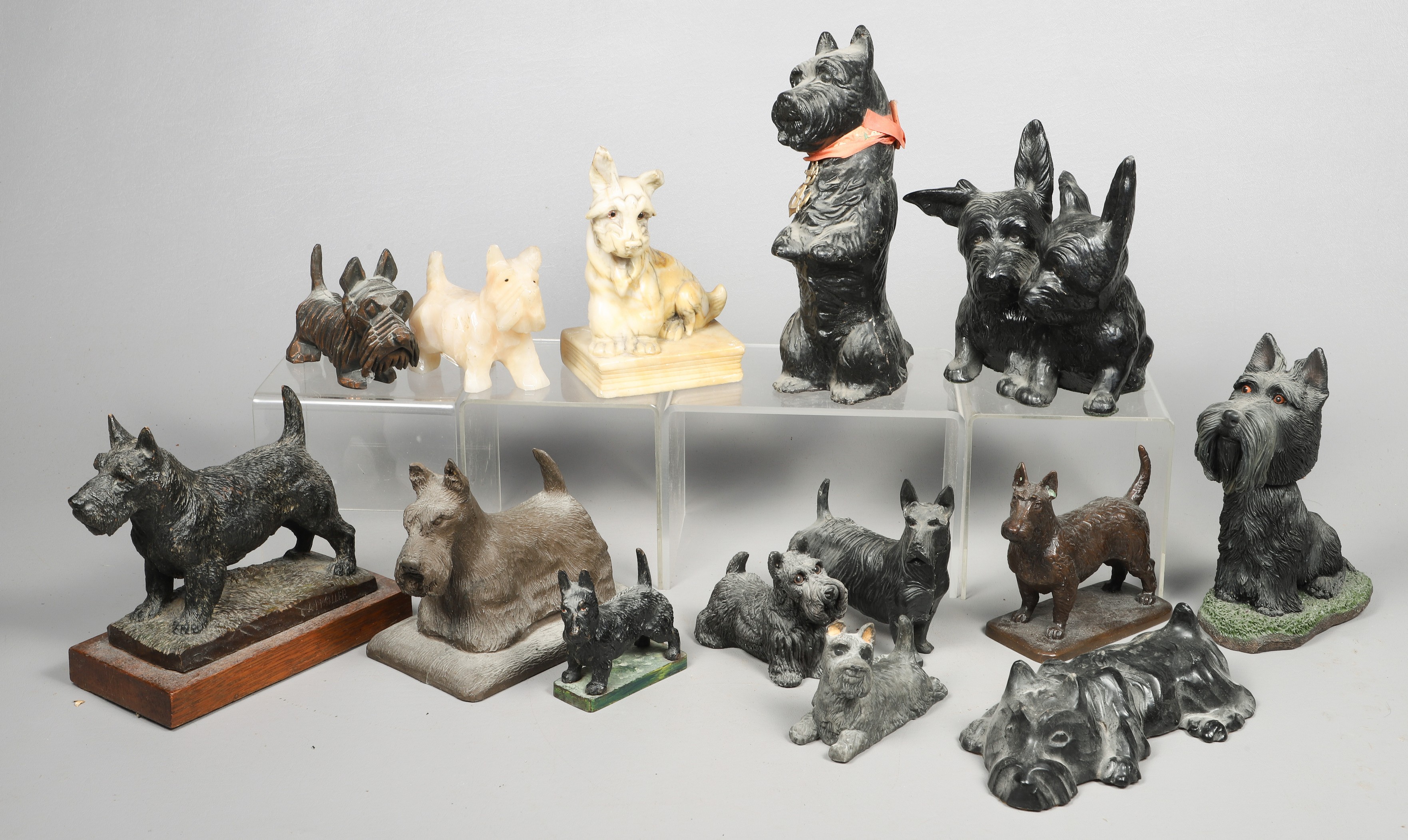 (14) Scottish Terrier (Scotty)