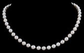 14KT. MIKIMOTO STRAND OF PEARL