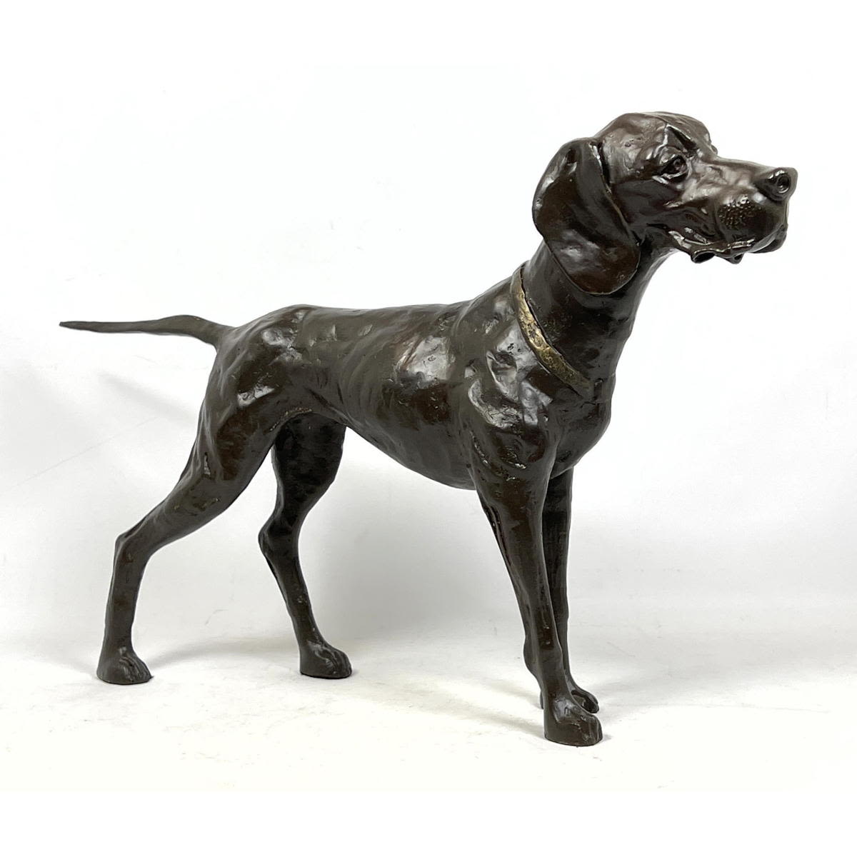 15" Figural Pointer Dog Bronze