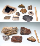 15 PC. PETRIFIED ROCK COLLECTI