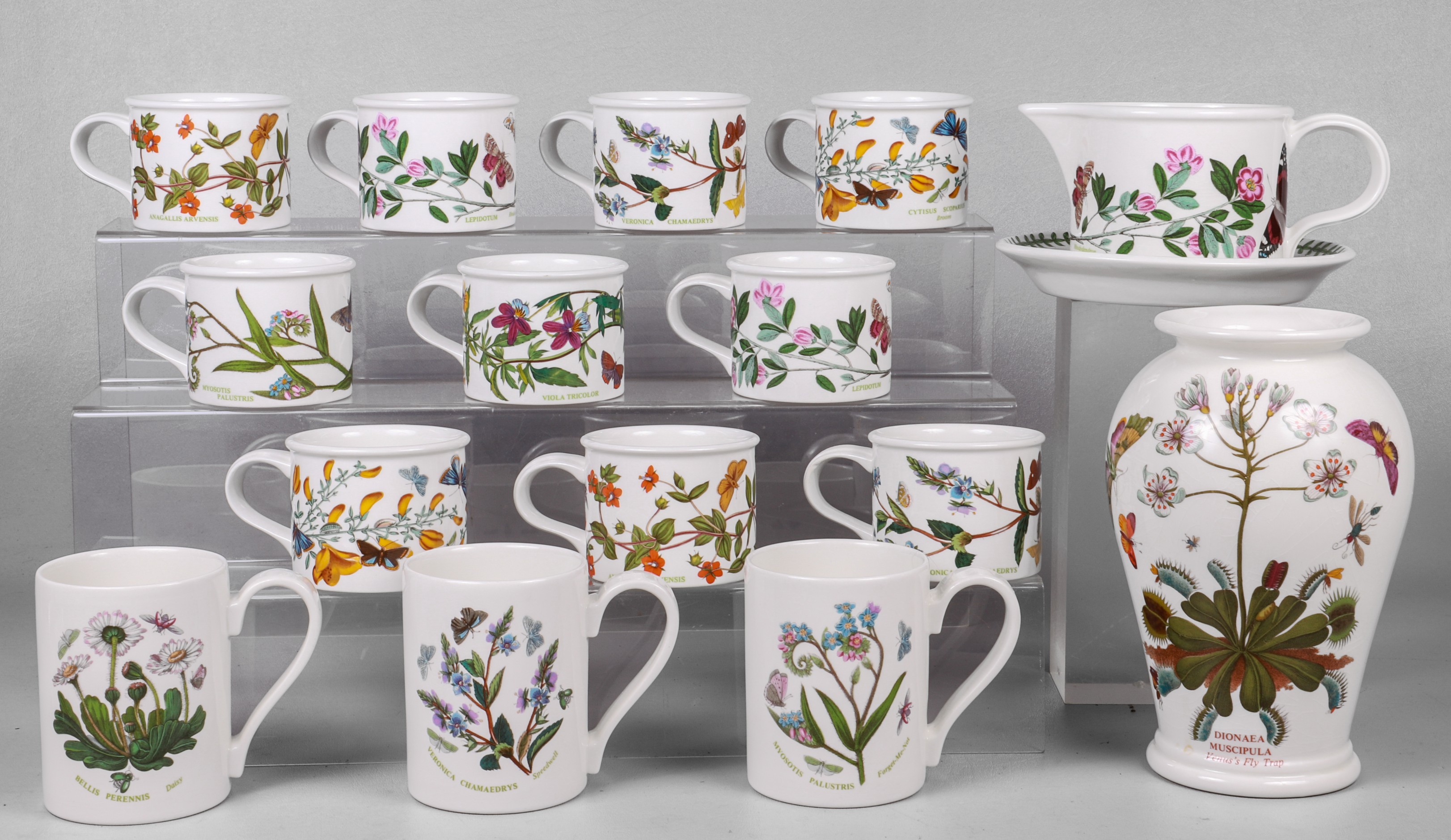 (15) Pcs Portmeirion Botanic Garden