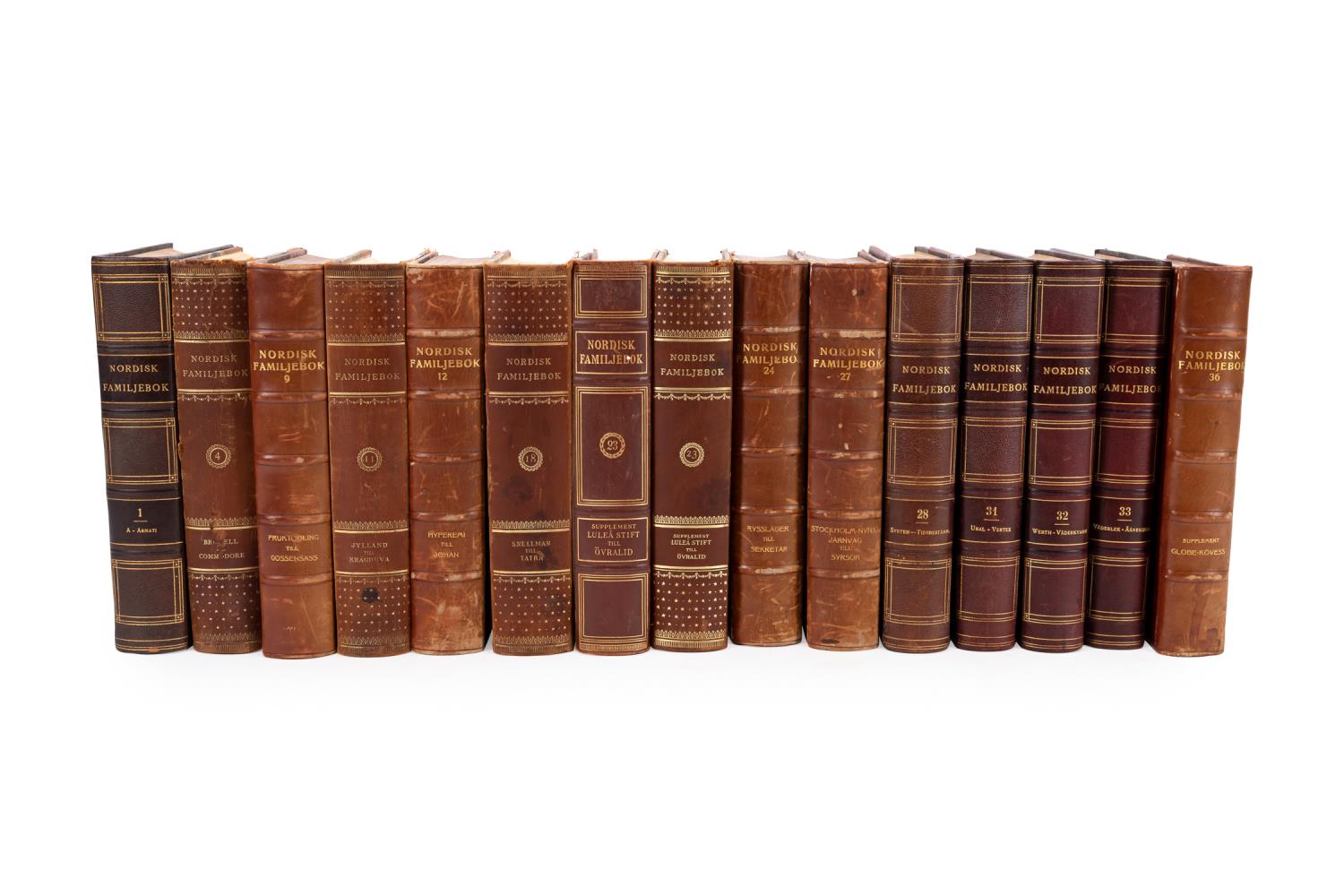 15 SWEDISH LEATHER BOUND DECORATIVE
