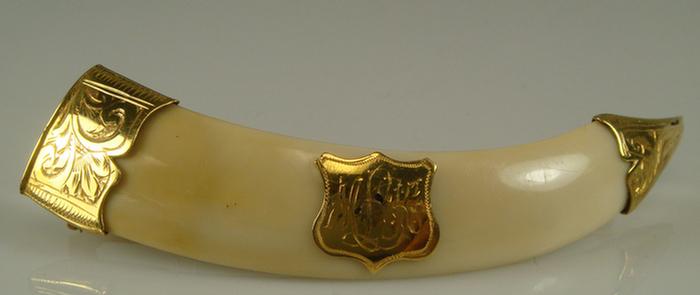 15K yg Tusk Brooch. Terminated with