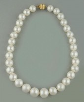 16 INCH GRADUATED SOUTH SEAS P