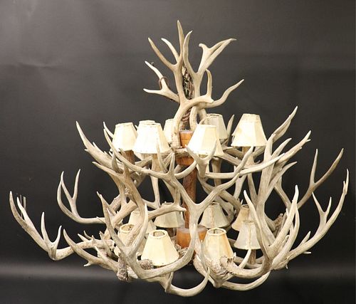 16 LIGHT LARGE ELK ANTLER