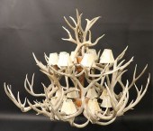 16 LIGHT LARGE ELK ANTLER CHAN