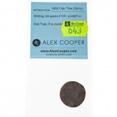 1652 OAK TREE SHILLING, SPINY