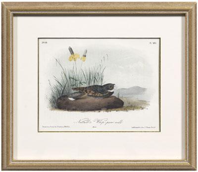 17 Octavo Audubon prints: