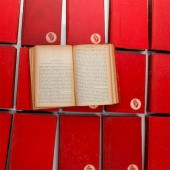 17 VOLUMES FROM HUGO, DUMAS, A