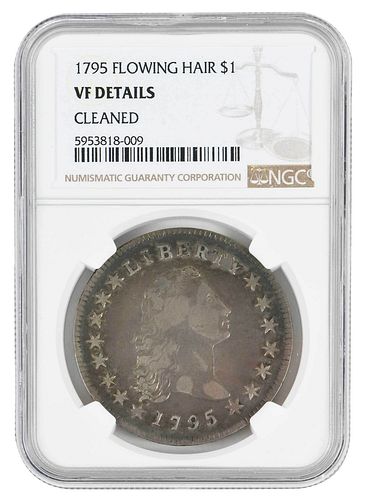 1795 FLOWING HAIR SILVER