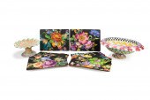 17PCS MACKENZIE-CHILDS PLACEMA