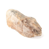 17TH C. ITALIAN CARVED MARBLE