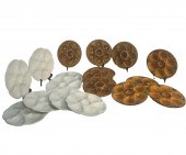 18 FRENCH FAIENCE OYSTER PLATE