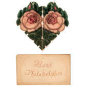 1859 THE ROSE OF PHILADELPHIA,