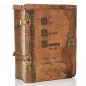 1898 NOAH WEBSTER'S DICTIONARY