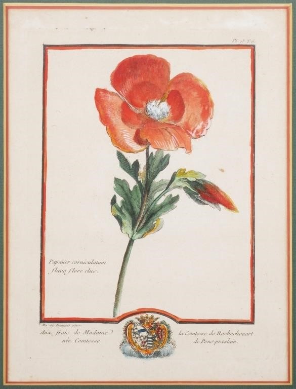 18C FRENCH BOTANICAL COLORED