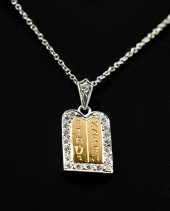 18K DIAMOND PENDANT WITH PLATI