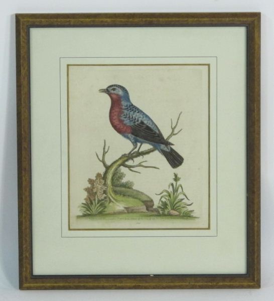 18th Century Engraving by George