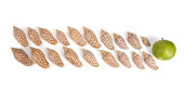 19 SCAPHELLA JUNONIA 'S FROM A